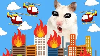 Thumbnail: 🐹 Hamster, Please Come Back! ✨ Rescue Baby Hamster So Sad