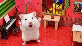 Thumbnail: Hamster Escapes from Dream Prison Maze | Hamster Maze