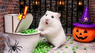 Thumbnail: Hamster Escapes from Mysterious Pet Prison Maze in Real Life | Hamster Maze