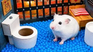 Thumbnail: Hamster's Spectacular Escape from the Shadow Prison Maze | Hamster Maze