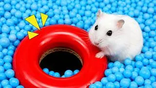 Thumbnail: Hamster Escapes Ball Pit in Mario Maze | Hamster Maze