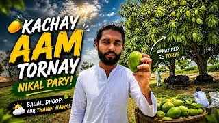 Thumbnail: 🥭 Kachay Aam Tornay Nikal Pary | Thanda Mosam ☁️ | Village Life Vlog Pakistan 🇵🇰