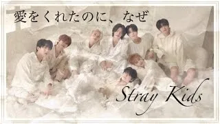 Thumbnail: 【日本語字幕】愛をくれたのに、なぜ / Stray Kids【FMV】