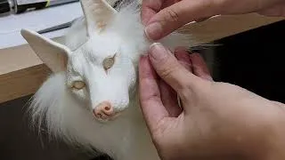 Thumbnail: Assembling a Handmade Animal | Final Process