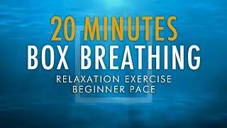Thumbnail: 20 Minutes Box Breathing Relaxation Exercise | Beginner Pace | Anxiety Reduction Pranayama Technique