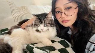 Thumbnail: Our Cat had Vertigo… I wish I knew THIS Sooner