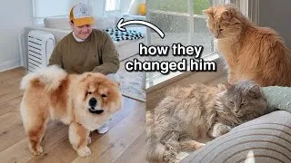 Thumbnail: Our Petsitter was a Dog Person… until our Cats did THIS