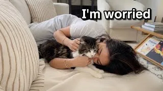 Thumbnail: Our Cat Suddenly Couldn't Walk... Here's What Happened