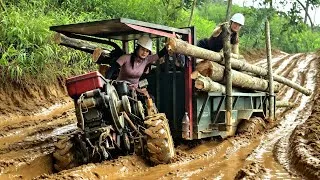 Thumbnail: The two girls did not hesitate to harvest wood in harsh weather conditions.