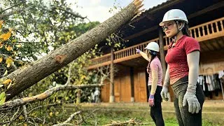 Thumbnail: Two female loggers accidentally knocked down a giant tree onto a villager's house,Oh my God.