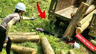 Thumbnail: Agricultural vehicle, slipped, and a large log fell on the driver. Ms. Hai rescued the driver. 