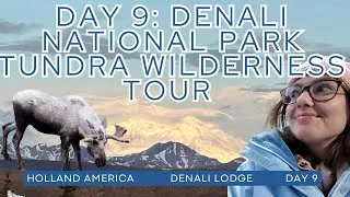 Thumbnail: Denali Tundra Wilderness Tour: Is It Worth It? (Full Experience & Tips)