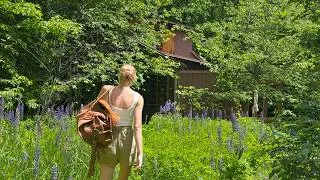 Thumbnail: I left my home in the woods