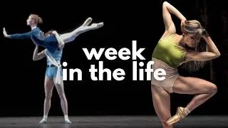 Thumbnail: The Reality of Dancing Professionally (The Good, The Bad, and the Ugly)