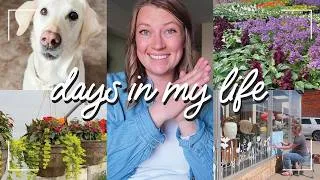 Thumbnail: WEEKLY VLOG: mom + daughter trip, big work projects, maternity photos 🌸🌷💕
