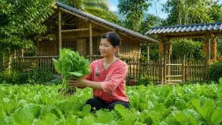 Thumbnail: Living in the forest, harvesting greens to sell at the market - cooking traditional dishes with them