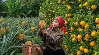 Thumbnail: living in the forest, gardening, and harvesting oranges, tomatoes, and pineapples to sell