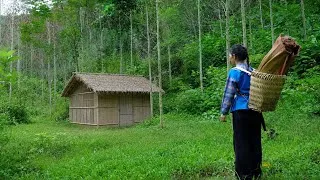 Thumbnail: After his house and land were confiscated, Han built a bamboo house in the wilderness