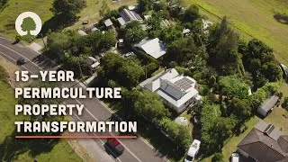 Thumbnail: 1-Acre Property Transformed into Thriving Permaculture Homestead! – Limestone Permaculture Farm