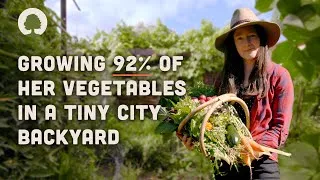 Thumbnail: Amazing Permaculture Garden in the City Grows an Abundance of Food!