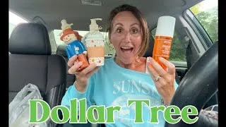 Thumbnail: HOLY MOLY! DOLLAR TREE HAUL | Everything is NEW! 