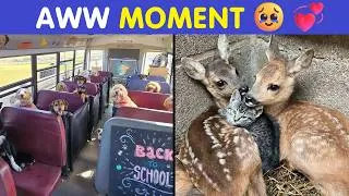 Thumbnail: Wholesome Posts That Will Be Your Daily Dose Of Aww 🥹❤️ | Happy And Fun