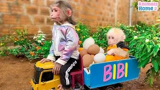 Thumbnail: Smart BiBi harvests eggs to make egg rolls for baby monkey Obi