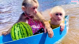 Thumbnail: BiBi repaired and rowed the boat to take the baby monkey Obi to pick fruit