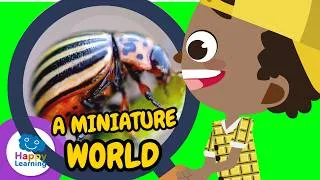 Thumbnail: 🐜🕷️ Learn with these amazing SPIDERS and INSECTS | Educational Videos for Children @HappyLearningEN