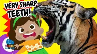 Thumbnail: 🦁 HOW DO PREDATORS HUNT? | Educational Videos for Children | @HappyLearningEN