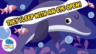 Thumbnail: 🐬 DOLPHINS. Their brain NEVER rests! | Educational Videos for Children | @HappyLearningEN