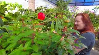 Thumbnail: Touring the Puerto Vallarta Botanical Gardens.