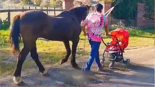 Thumbnail: This Horse’s Healing Will Melt Your Heart