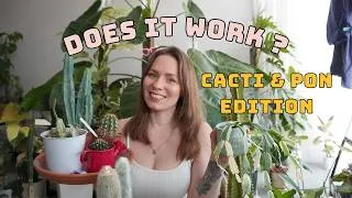 Thumbnail: I Put My Cacti in PON  | Cactus Care, Watering & Self-Watering Explained