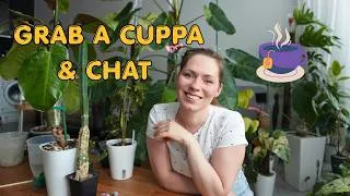 Thumbnail: Repot With Me 🌿 Answering Your Questions | Plant Care & Chat
