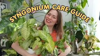 Thumbnail: Syngonium Care Guide 🌿 | Light, Watering, Soil & PON