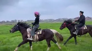 Thumbnail: The grassland is all set for you. Come and gallop your horses#Original ecological wild