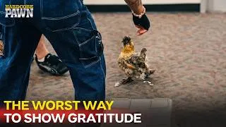 Thumbnail: Three Chickens Against the Whole Shop! | Hardcore Pawn