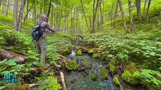 Thumbnail: I found the BEST Brook Trout Stream In West Virginia!! (Fly Fishing)
