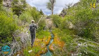 Thumbnail: 3 Days Fly Fishing America's Driest State... It was AWESOME!