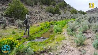 Thumbnail: The is the Hardest Trout To Catch in AMERICA!! (Nevada Fly Fishing)