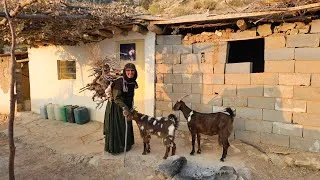 Thumbnail: Alone grandmother in the heart of the mountains; chopping firewood with two adorable goats