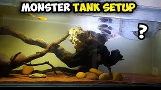 Thumbnail: Huge Monster Fish Tank Setup!