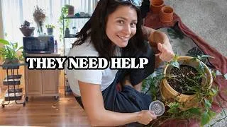 Thumbnail: My Sister's Plants Needed Help.. So I Took Over