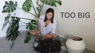 Thumbnail: I Finally Let Go of My Giant Monstera Sport | Reset Day at Home