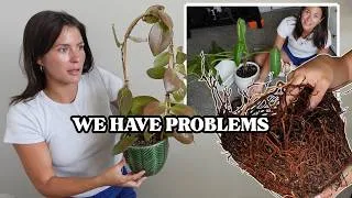 Thumbnail: I Left My Plants for 10 Days.. Here's What I Came Home To