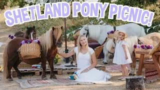 Thumbnail: A PICNIC WITH SHETLAND PONIES!! BIRTHDAY SURPRISE!