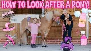 Thumbnail: GIGI LEARNS HOW TO GROOM & RIDE A SHETLAND PONY!