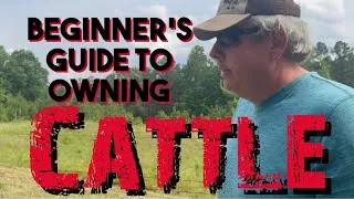 Thumbnail: BEGINNER’S Guide To Owning CATTLE 🐄 How To Own Cattle For Beginners