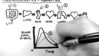 Thumbnail: Pharmacokinetics 2  - Absorption